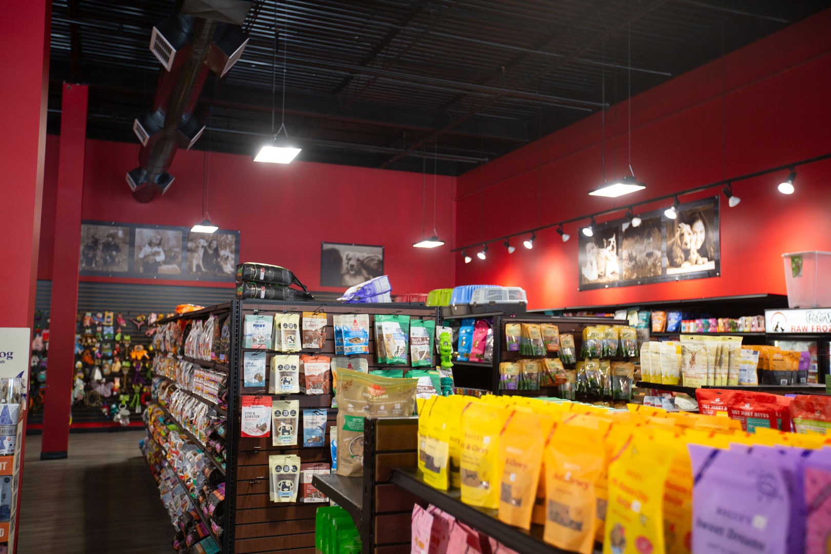 Shopping in Morgantown, WV